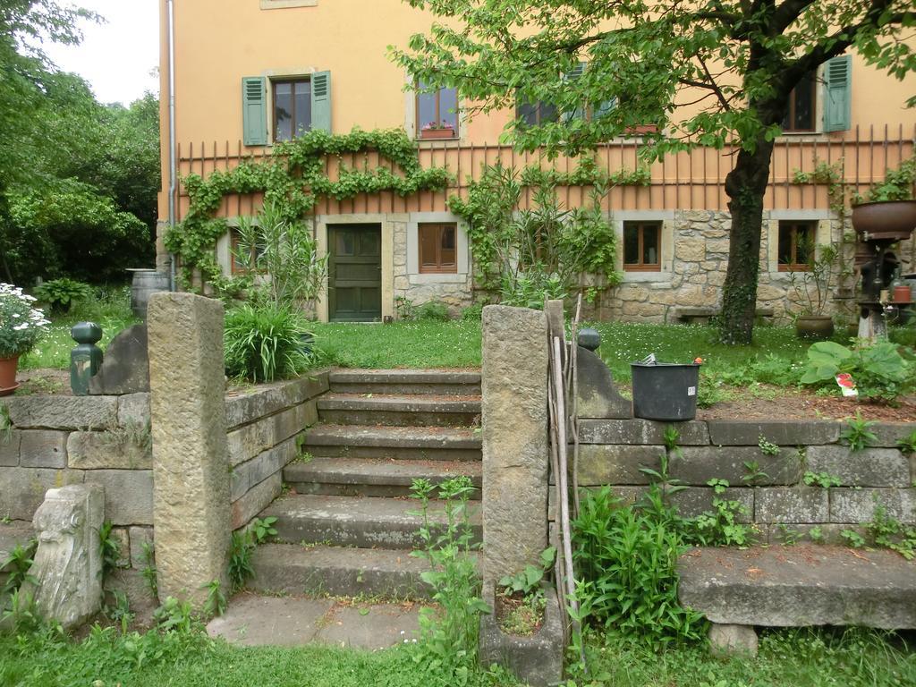 Ferienwohnung Mit Charme In Dresden Pillnitz Bagian luar foto